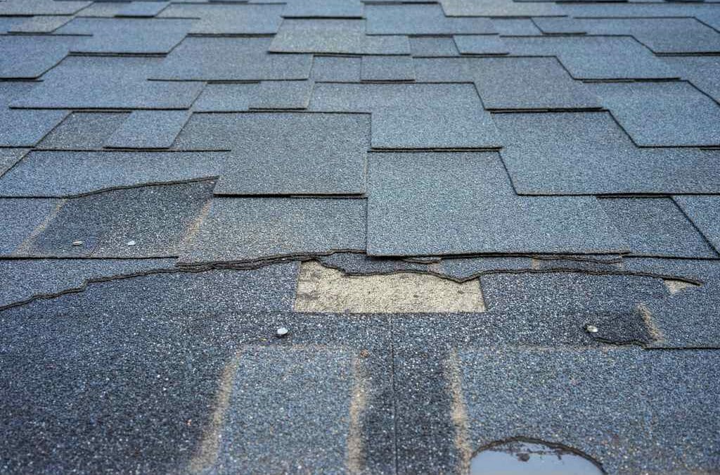 What to Do if a Storm Damages Your Roof in Georgetown